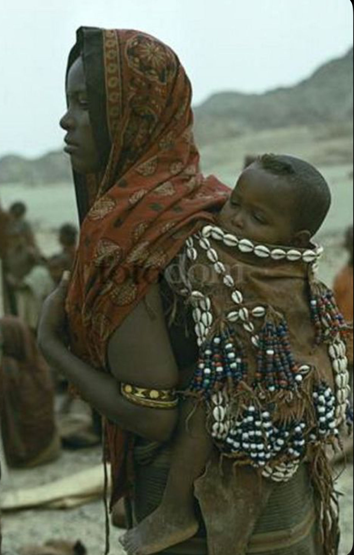 Custom Ankelba-Inspired Baby Carrier